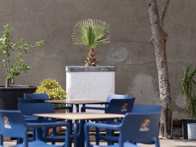 Patio exterior soleado con mesas y sillas